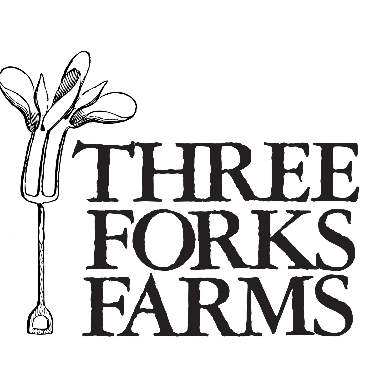 Three Fork Farms
