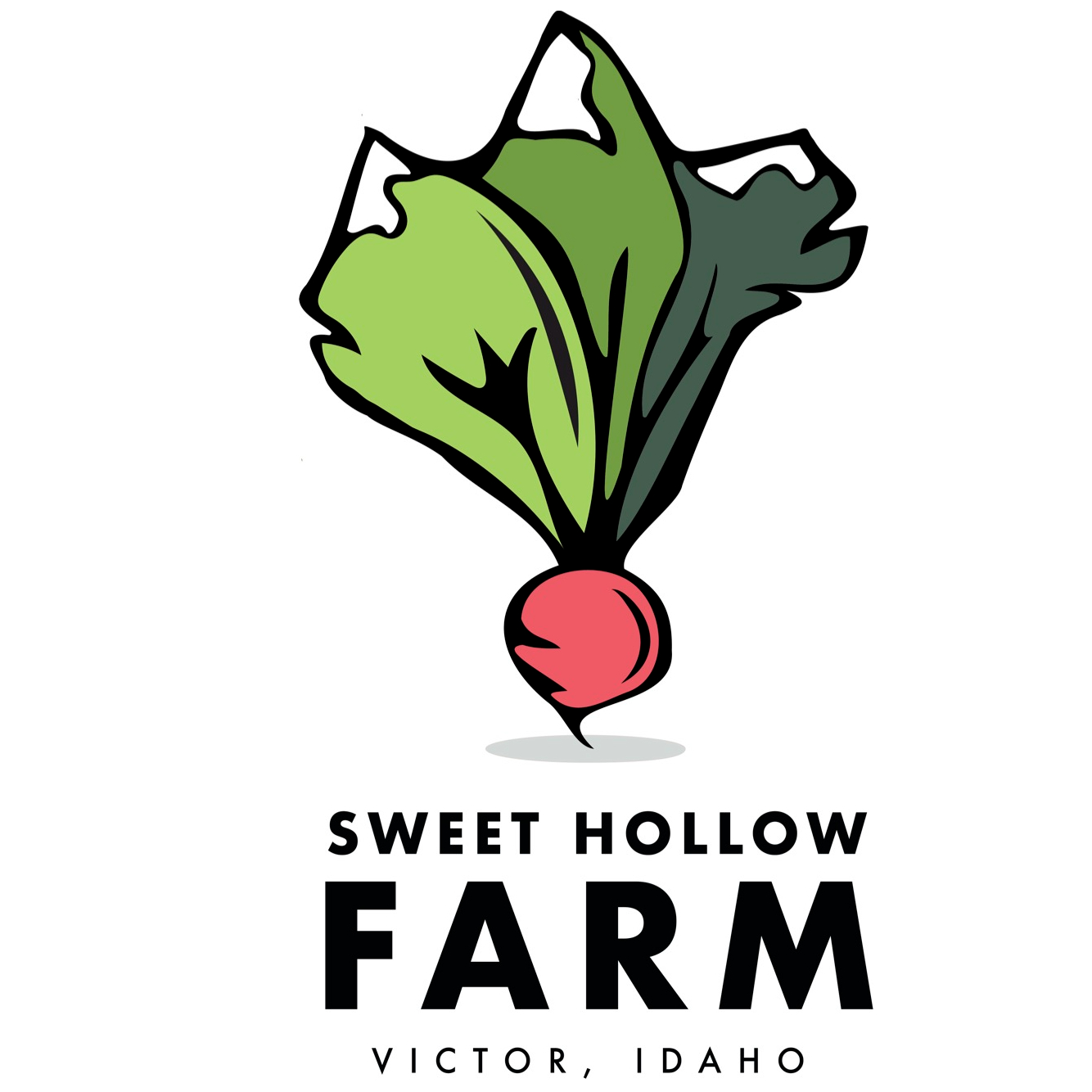 Sweet Hollow Farm