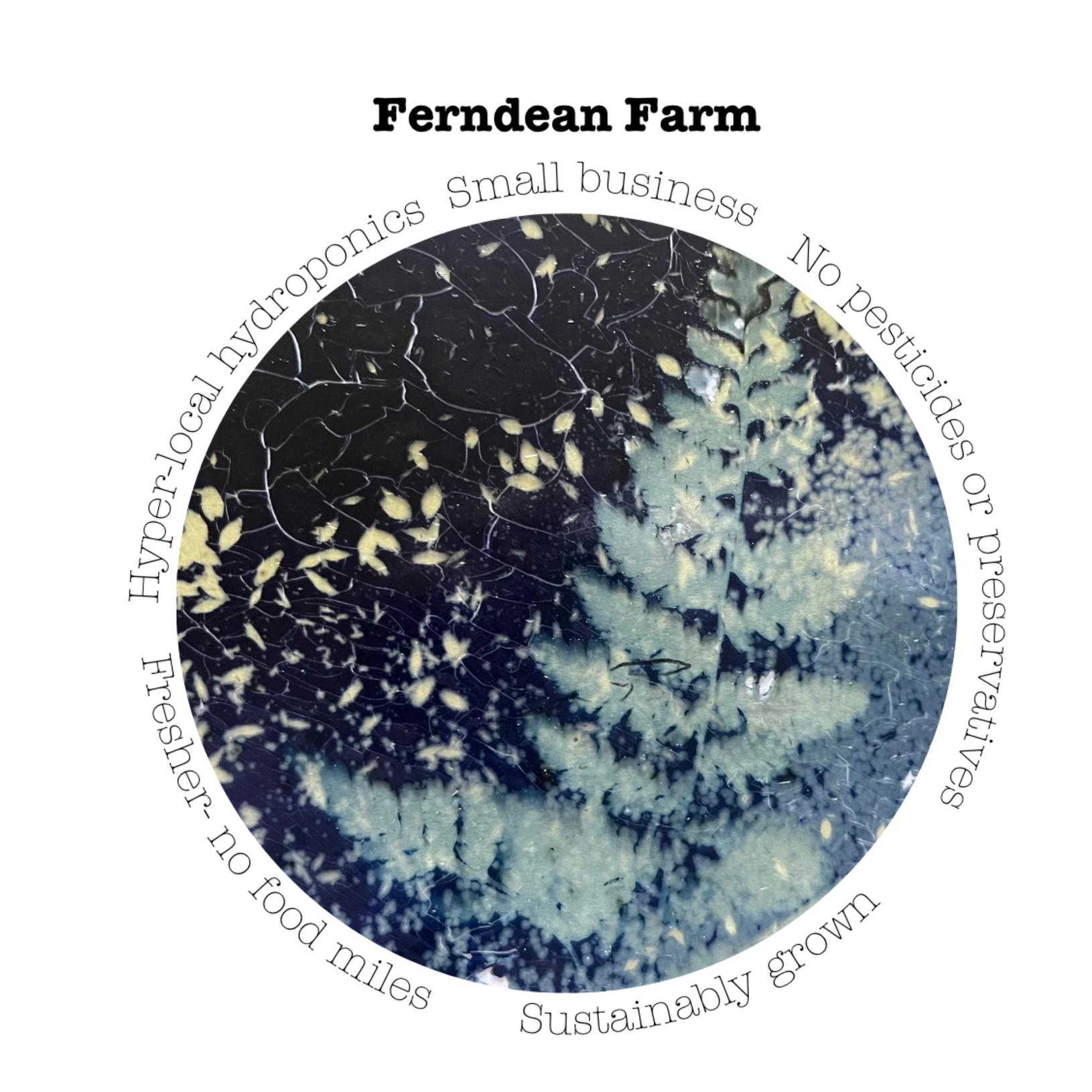 Ferndean Farm