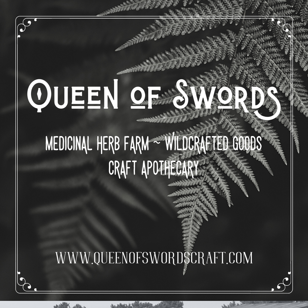 Queen of Swords 