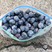 Blueberry, High Bush (frozen)