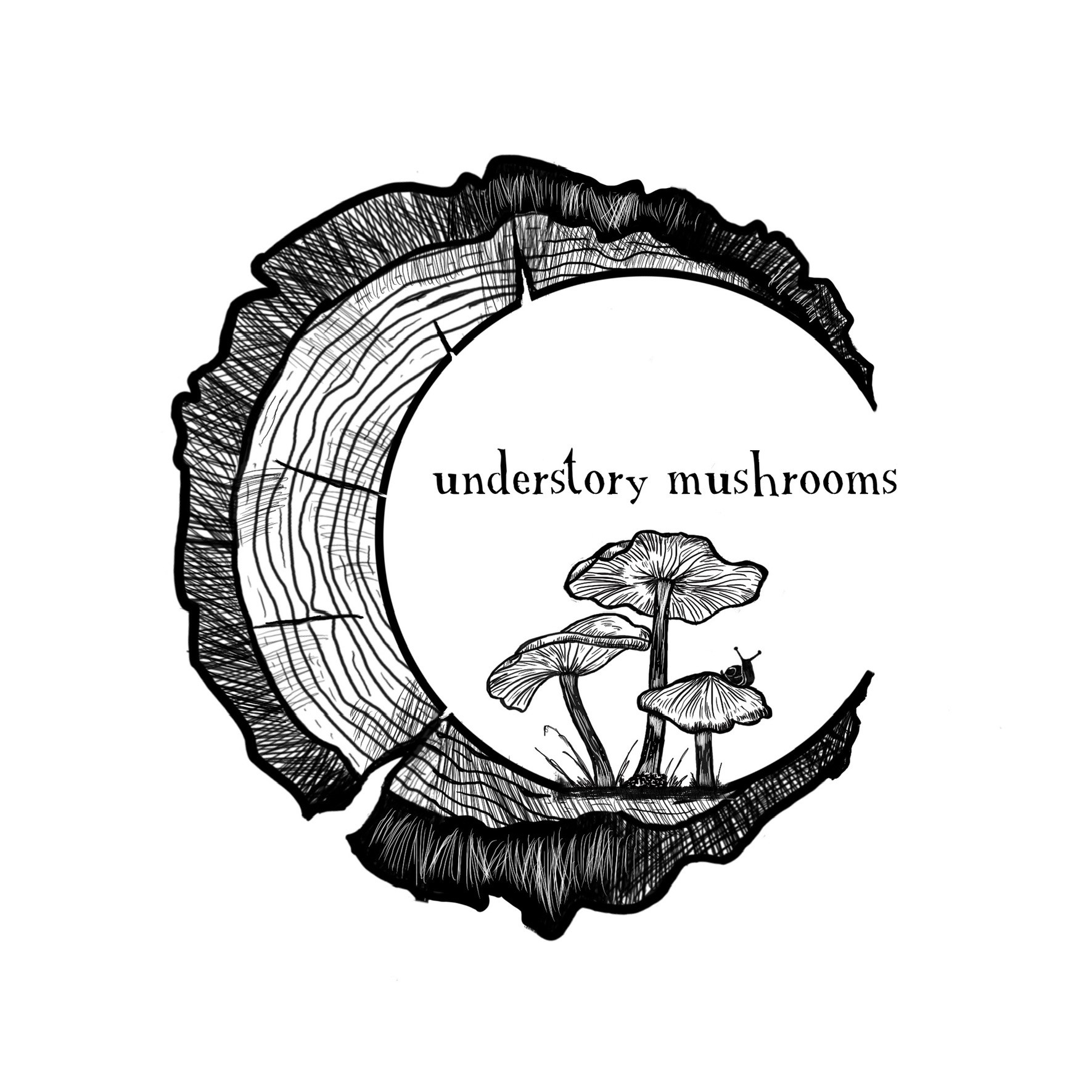 Understory Mushrooms 