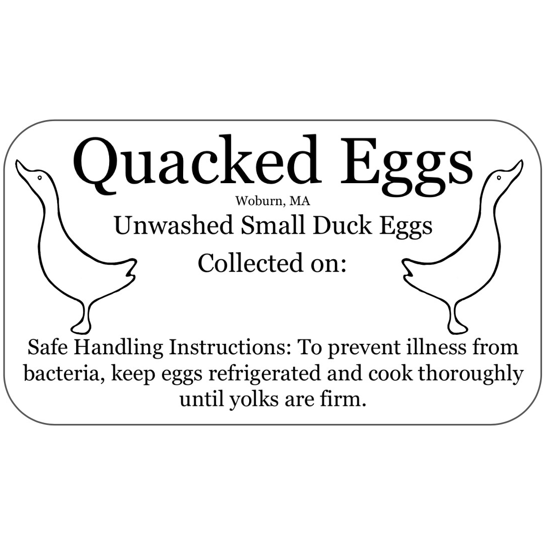 Quacked Eggs