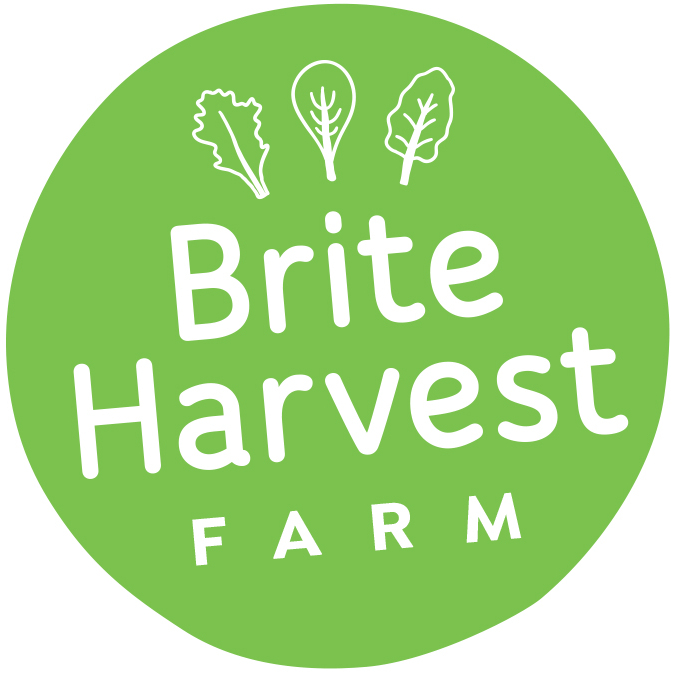 Brite Harvest