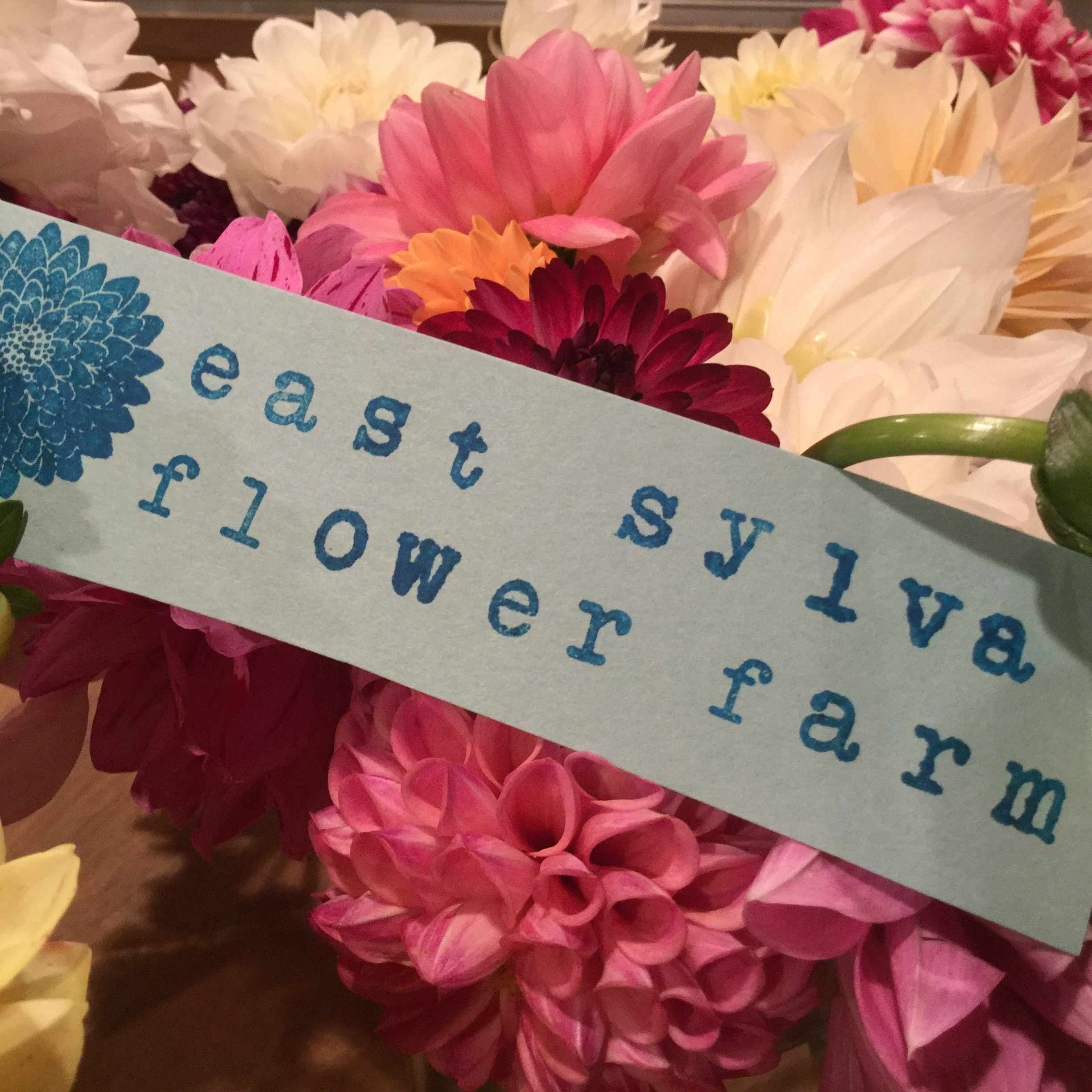 East Sylva Flower Farm