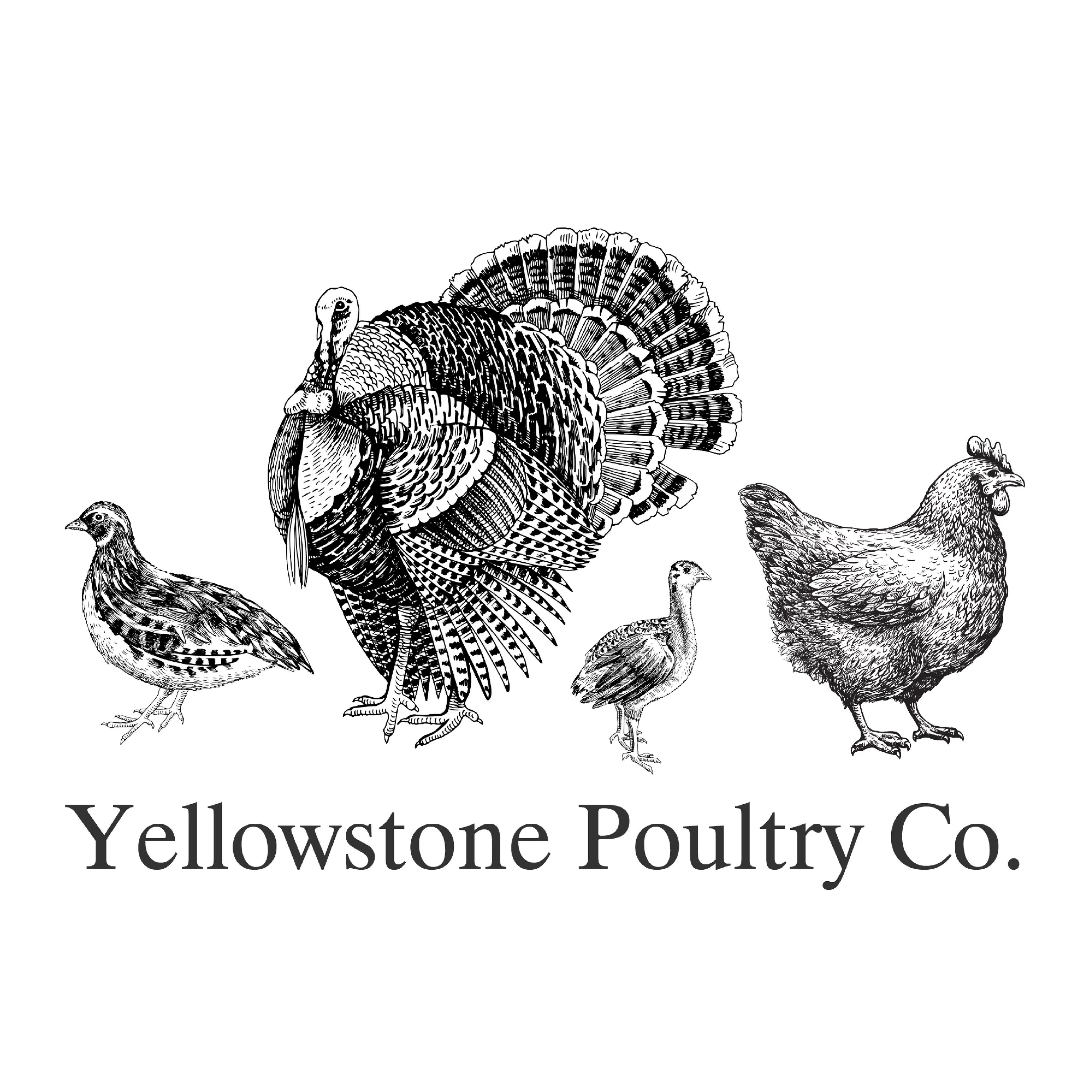 Yellowstone Poultry Co. 