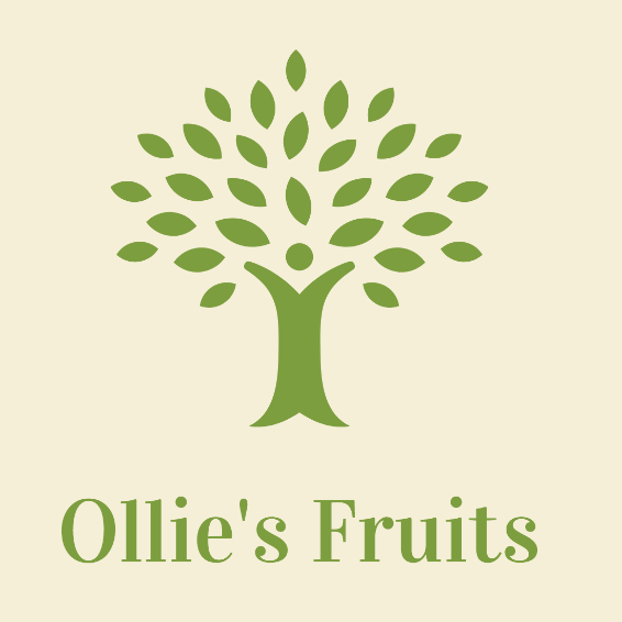 Ollie's Fruits