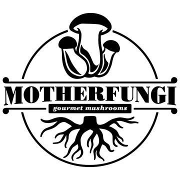 Mother Fungi 
