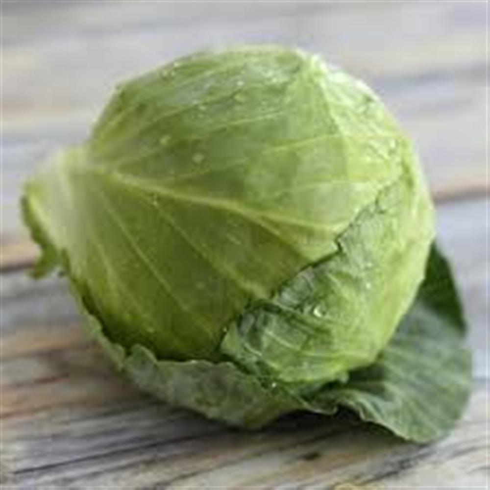 Cabbage, Green