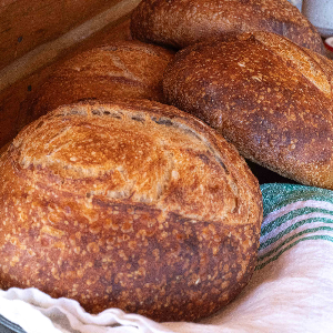 Sourdough Bread